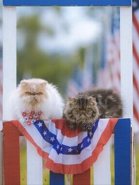 Patriotic Cats-SALE ANYTHING WITH RED, WHITE, OR BLUE. 5/30-7/4